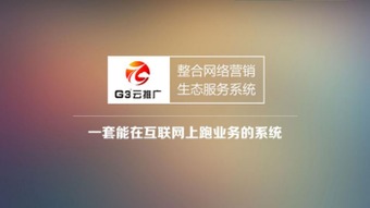 哈爾濱網(wǎng)絡(luò)推廣與技術(shù)服務(wù)公司選擇指南 網(wǎng)站與APP開發(fā)的專業(yè)之選