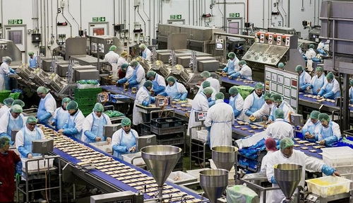 攜手佛山專業污水處理廠家，為食品廠定制高效化污水凈化工程方案，協同霧炮車構建全方位環保屏障